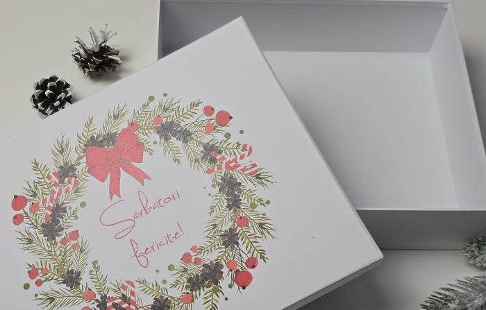 Cutie dreptunghiulară, cu capac - 250x200x70h [2]