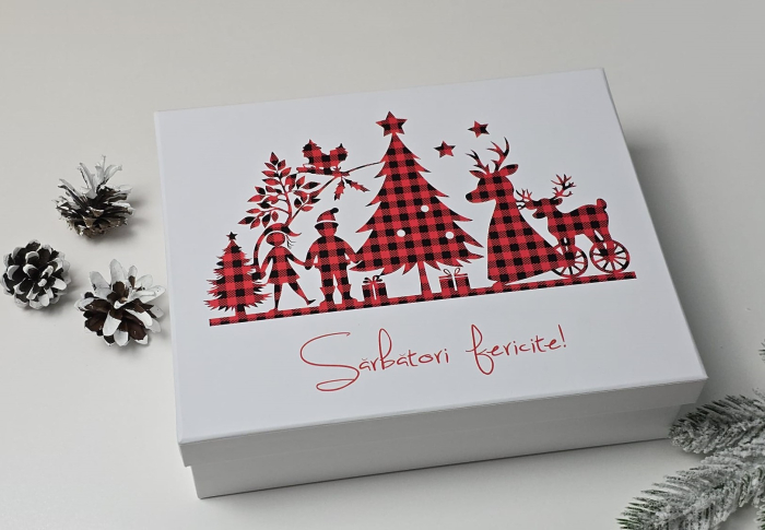 Cutie dreptunghiulară, cu capac - 250x200x70h [1]