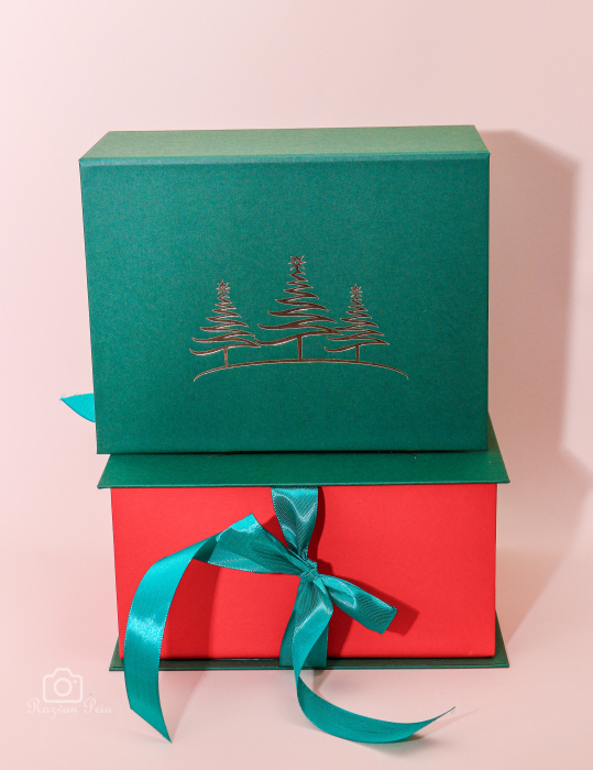 Cutie pentru carciun [2]