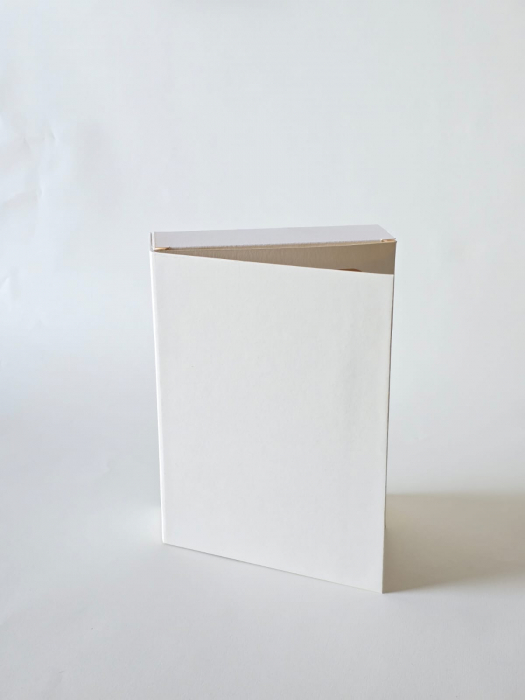 Cutie tip ,, Carte ” hartie 250x170x60mm [2]