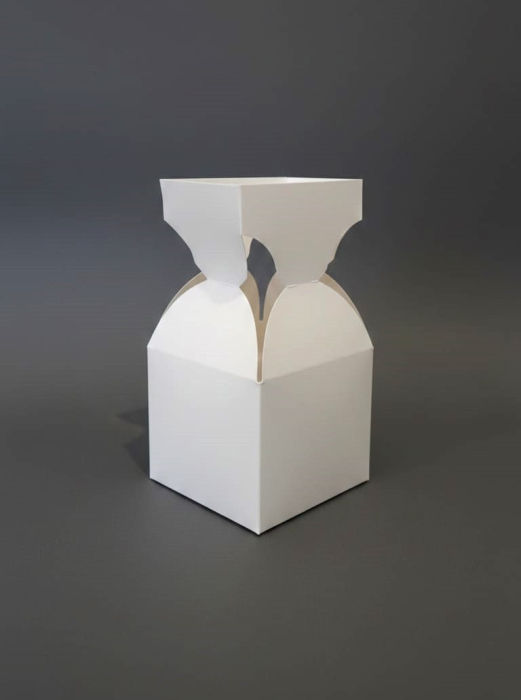 Cutie  ,, PetalFold ” [3]