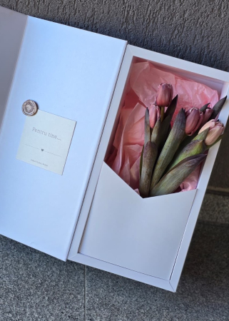 Cutii Diverse - Cutie deschidere tip carte 400x200x100 h mm