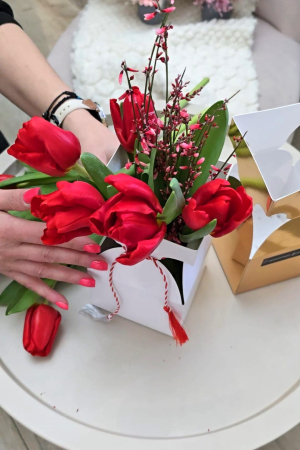 Cutie  ,, PetalFold ” [1]