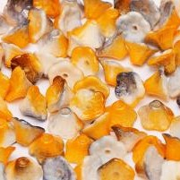 Flower Cup Beads 7 x 5 mm Chalk White Funky Copper [2]