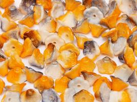 Flower Cup Beads 7 x 5 mm Chalk White Funky Copper