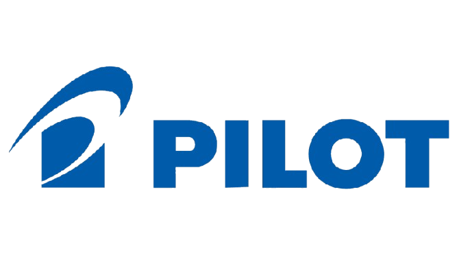 Pilot Frixion