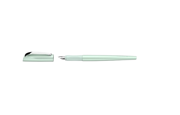 Stilouri caligrafie