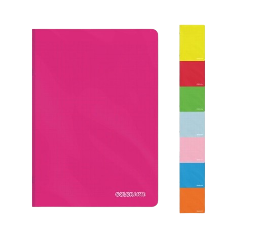 Caiete matematica