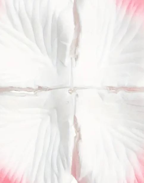 img-attr