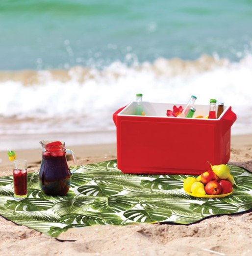 Patura pentru picnic [2]