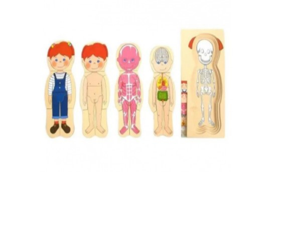 Puzzle educativ Corpul uman [2]