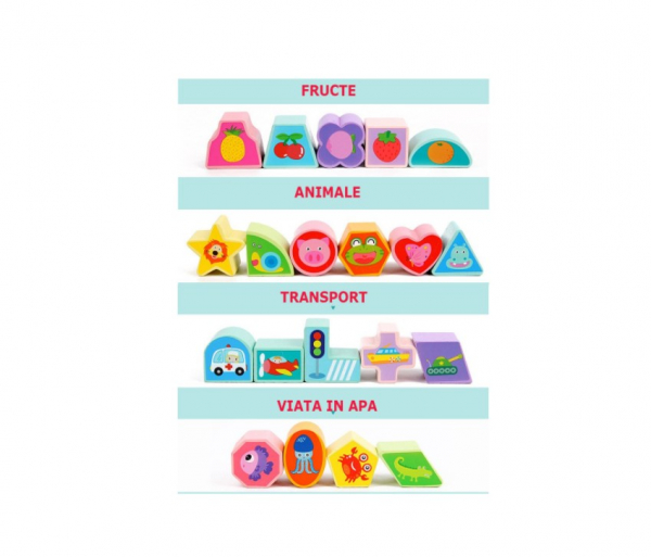 Cub educativ 5 in 1 [6]