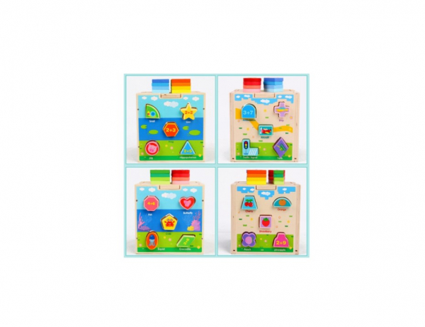 Cub educativ 5 in 1 [3]