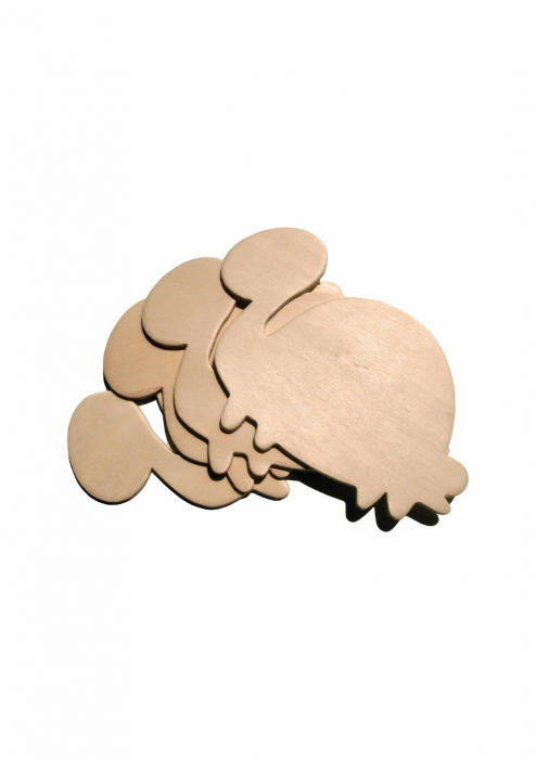 Figurina broasca testoasa din lemn pentru activitati crafts,4 bucati set