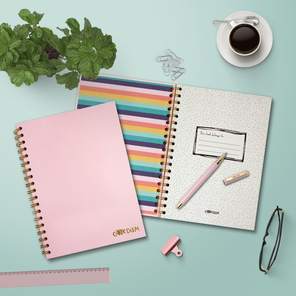 Agenda cu spirala și separatoare Pukka Pad Balerina Pink, B5, 160 pagini [2]