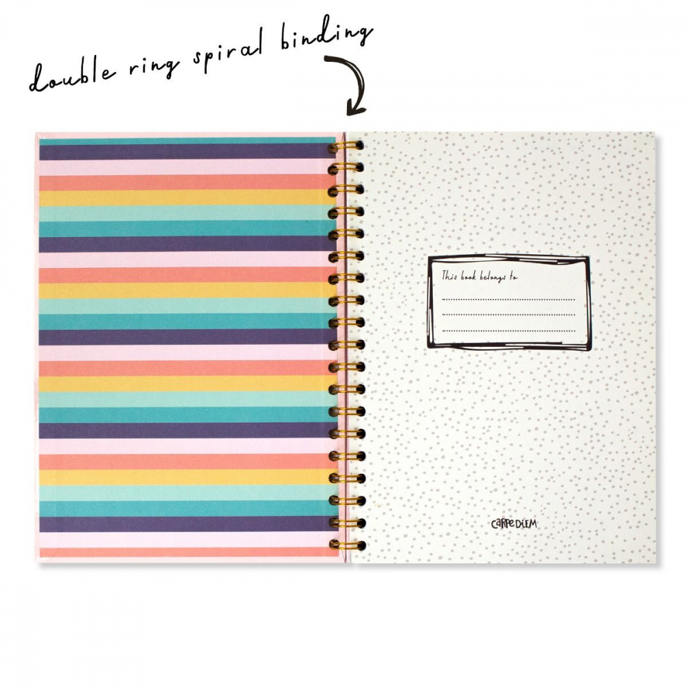 Agenda cu spirala și separatoare Pukka Pad Balerina Pink, B5, 160 pagini [5]