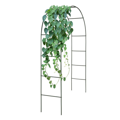 Arcada metalica pentru trandafiri, negru, 240x140x38 cm [7]