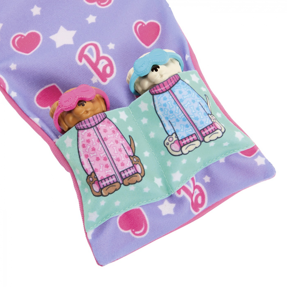 BARBIE PAPUSA BARBIE FAMILY SET PETRECERE CU 2 CATELUSI COLOR CHANGE [5]