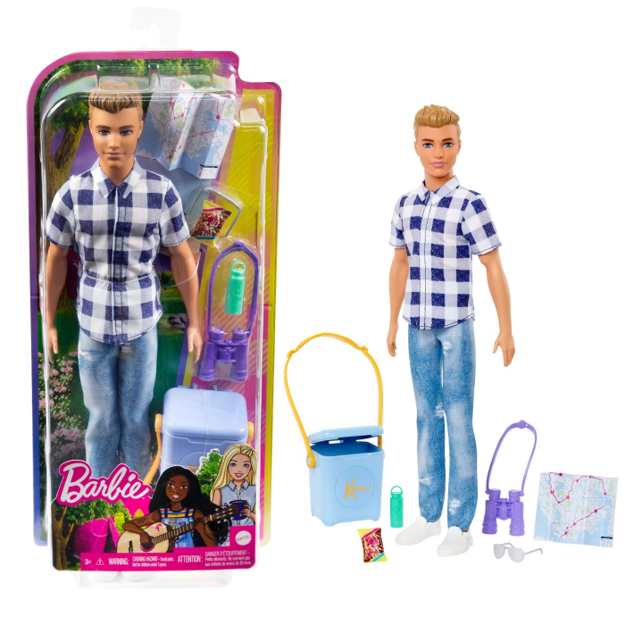 Barbie papusa ken la picnic [7]