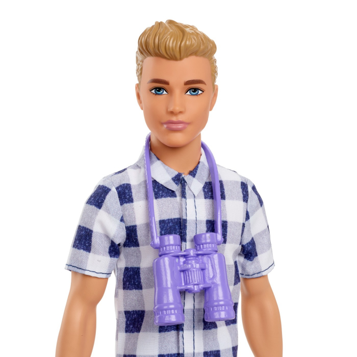 Barbie papusa ken la picnic [4]