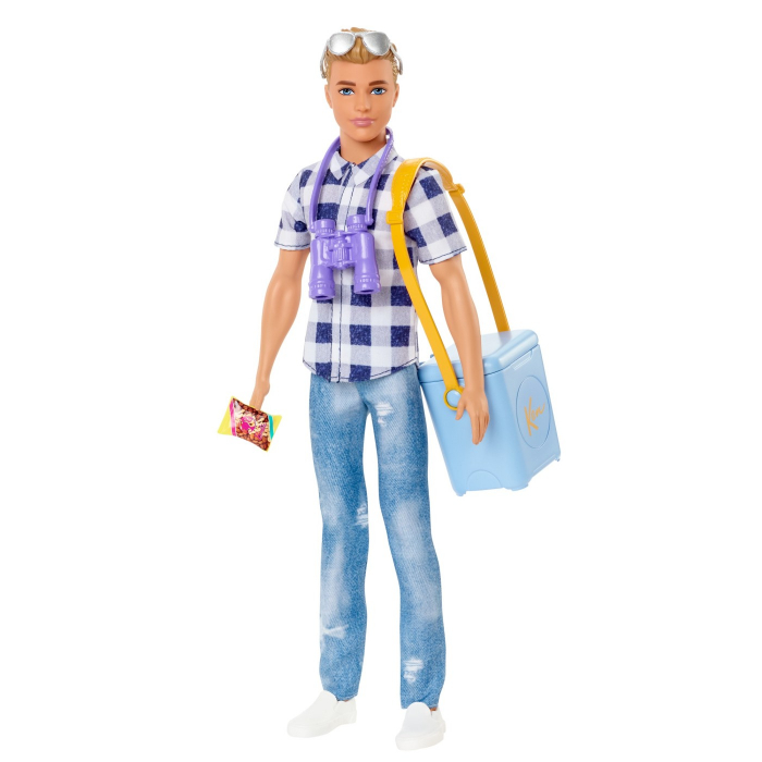 Barbie papusa ken la picnic [3]