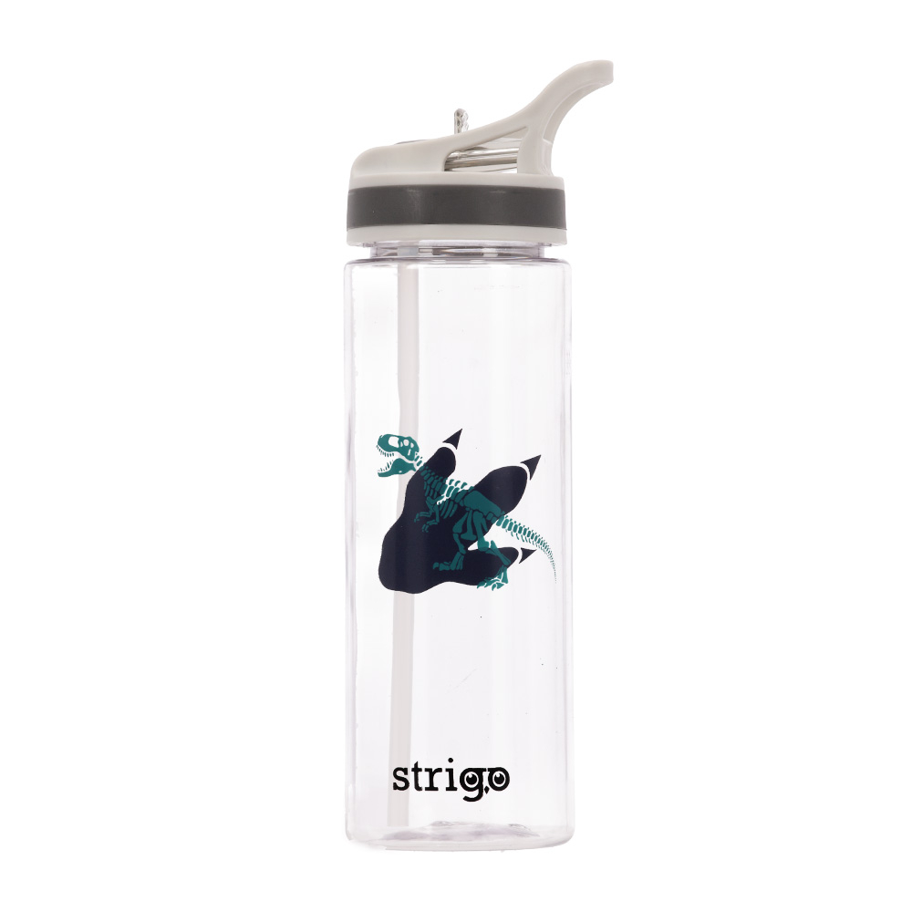 Bidon Strigo Dinosaur Collection, 600 ml [2]