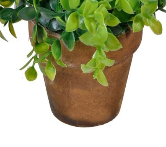 Bonsai decorativ cu frunze late in ghiveci ceramic [2]