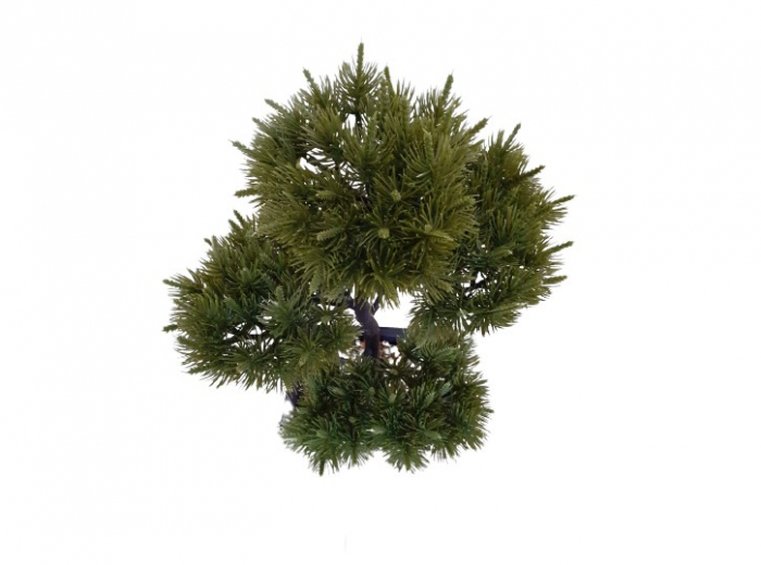 Bonsai pin decorativ artificial in ghiveci  [2]