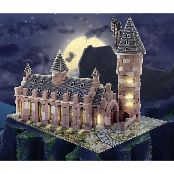 Brick trick harry potter sala mare [6]