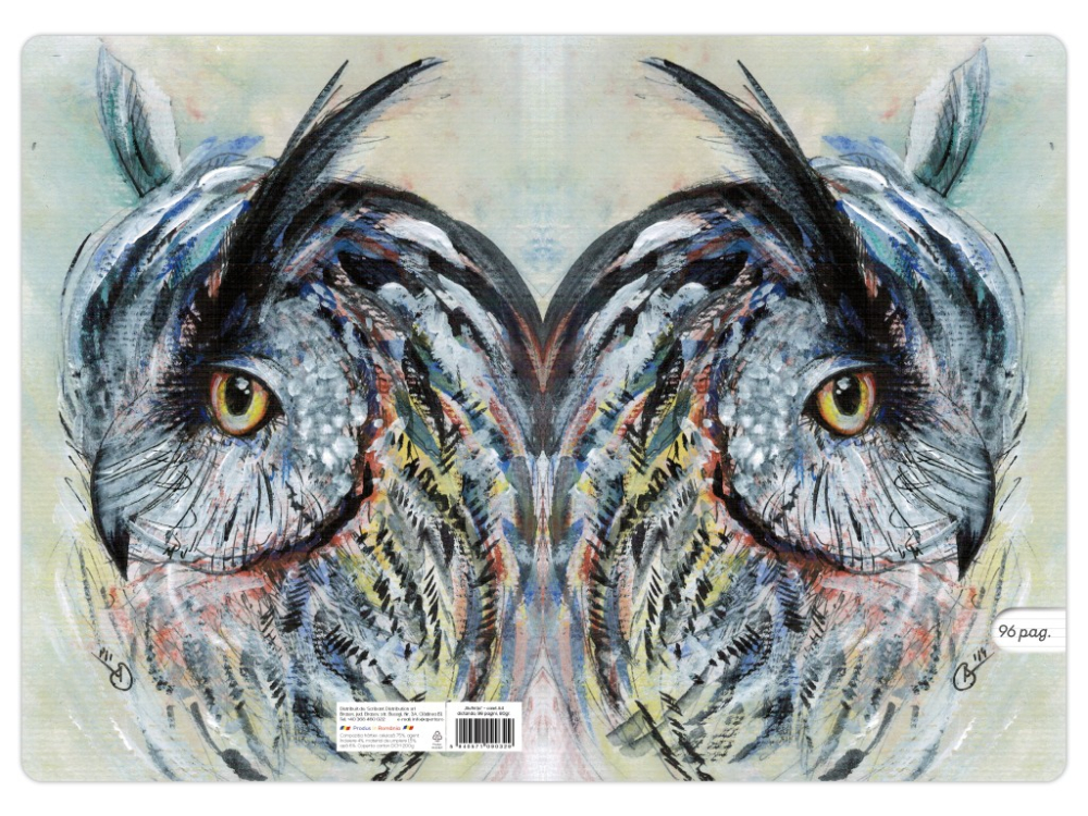 Caiet A4 dictando,ilustratie Bufnita, 48 file, 80 g/mp [3]