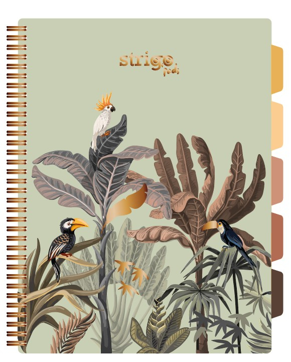 Caiet cu Spirala si Separatoare Strigo Pads Project Book Africa A4, Matematica, Verde Deschis