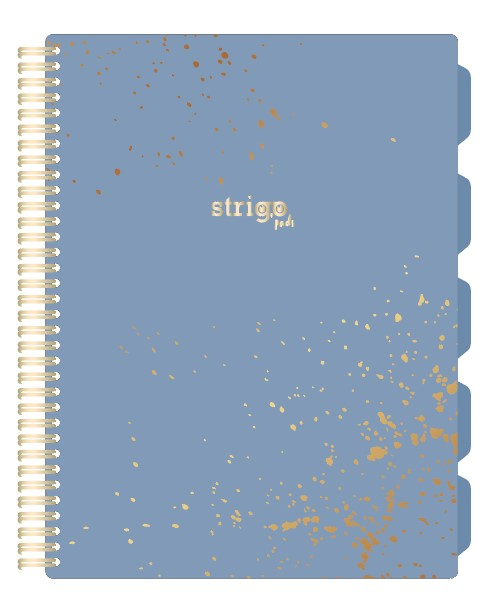 Caiet cu Spirala si Separatoare Strigo Pads Project Book Marmorat A4, Matematica