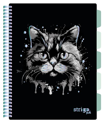 Caiet cu Spirala si Separatoare Strigo Pads Project Book PISICA A4, Matematica