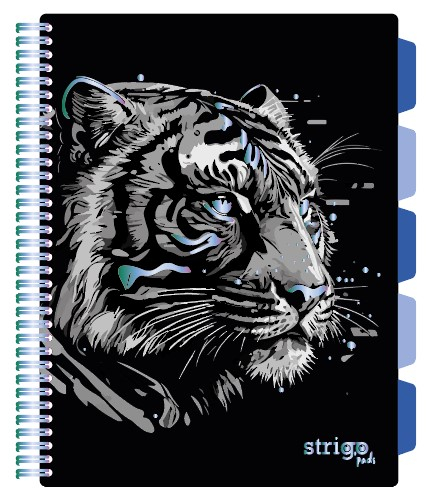 Caiet cu Spirala si Separatoare Strigo Pads Project Book TIGRU A4, Matematica