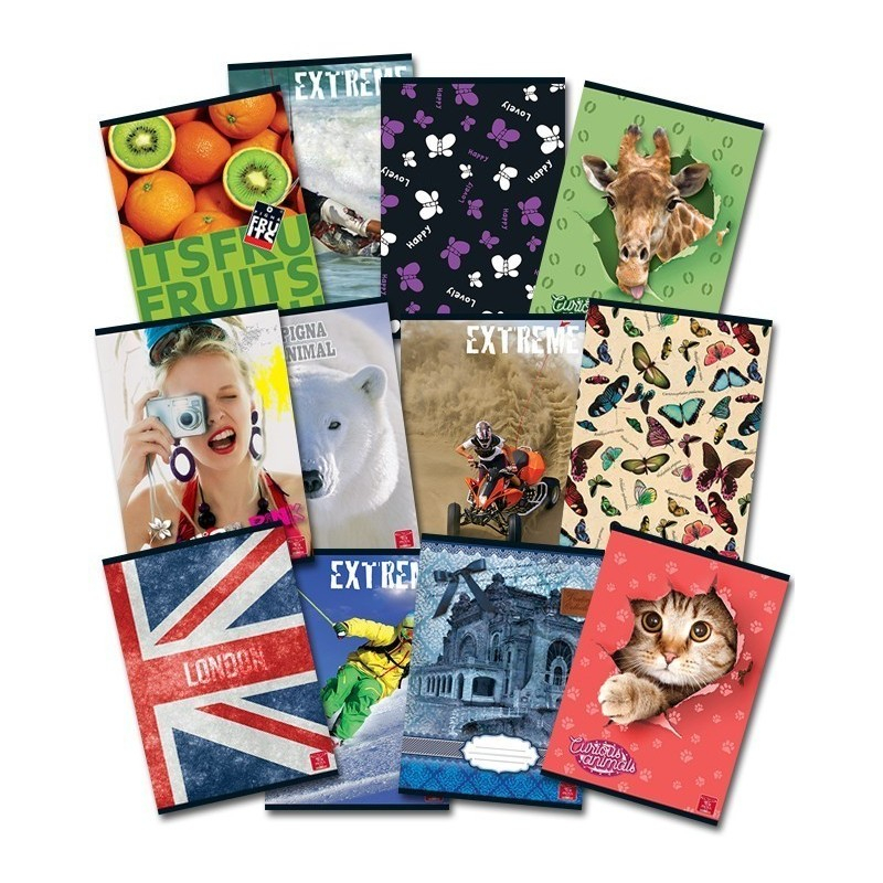 Caiet matematica A5, 48 file ,   Pigna Clasic, coperta carton,diverse modele