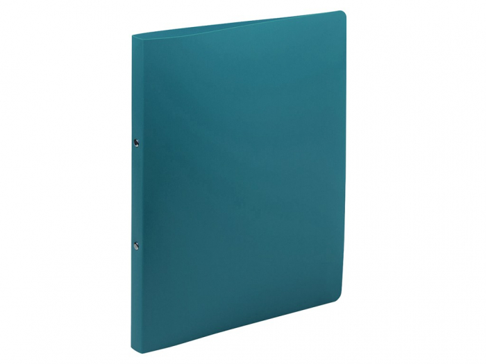 Caiet mecanic PP [4]