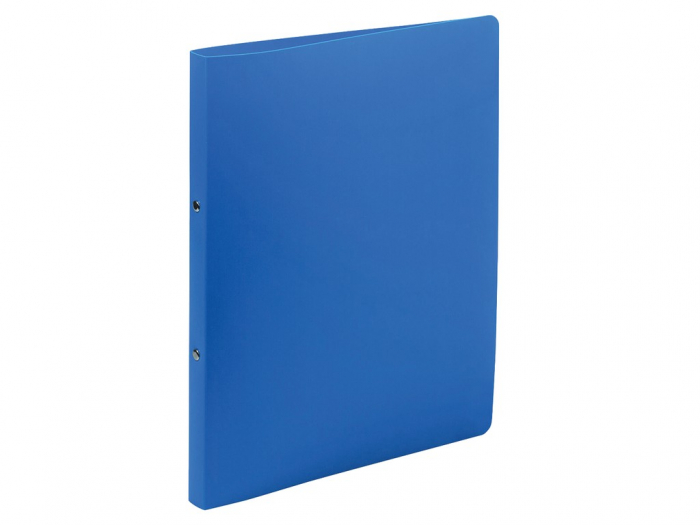 Caiet mecanic PP [3]