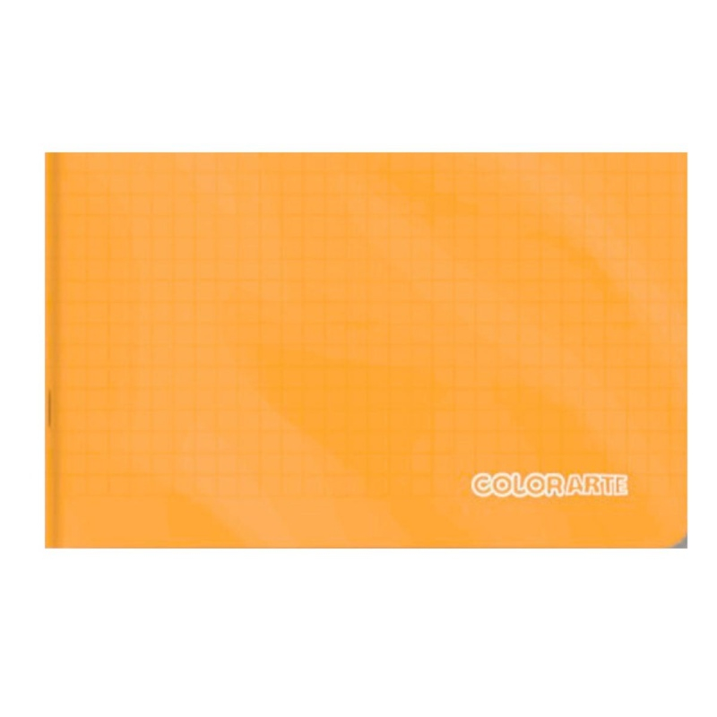Caiet muzica A5,coperta PP,24 file,17x24 cm,diverse culori