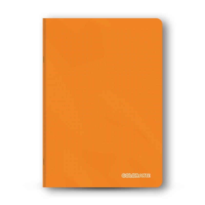 Caiet scolar A4 ,100 file, dictando, colturi rotunjite, coperta plastic 230microni, 70g/mp [3]