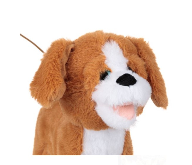 Catel de plus interactiv cu telecomanda tip zgarda [3]