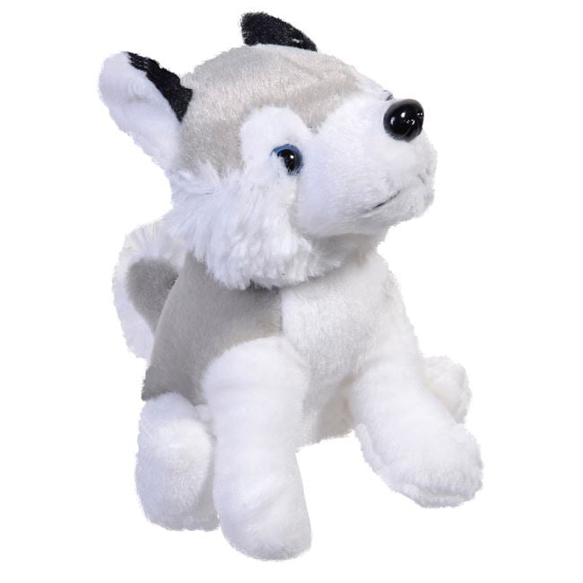 Catelus de plus Husky ,15 cm