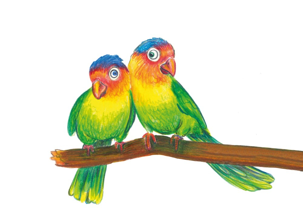 Creioane Faber-Castell 24/set, triunghiulare + ascuțitoare eco [2]