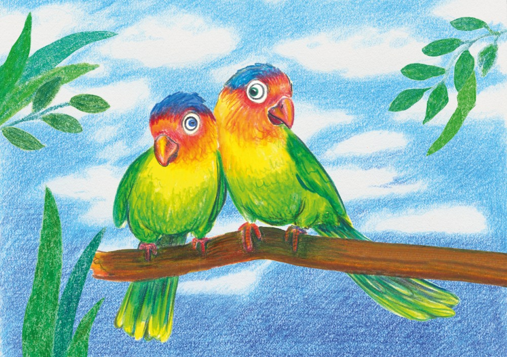 Creioane Faber-Castell 24/set, triunghiulare + ascuțitoare eco [3]