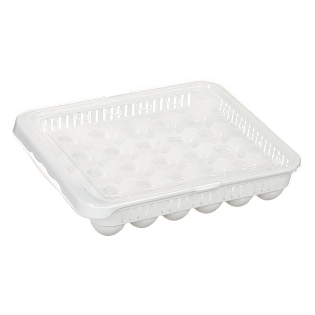 Cutie cu capac pentru depozitare oua,30 locuri,plastic,33x27x7 cm