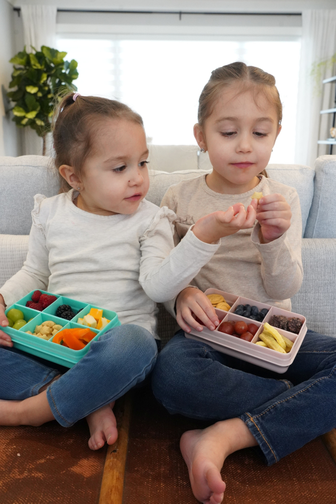 CUTIE SNACK 6 COMPARTIMENTE, MELII, PRINT DINOZAUR [3]