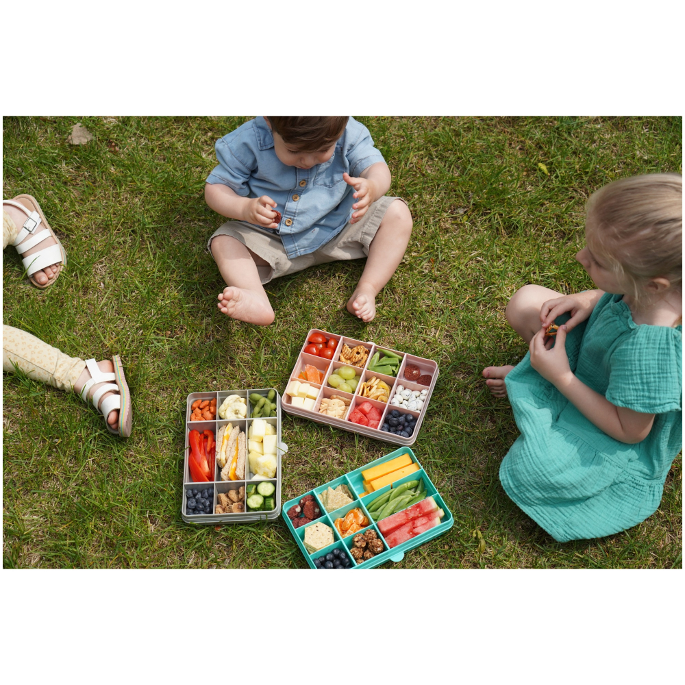 Cutie Snack cu 12 compartimente pentru gustari bebelusi,roz [10]