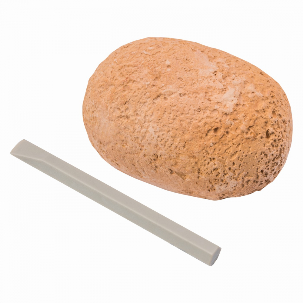 DESCOPERA DINOZAURUL DIN OU [2]