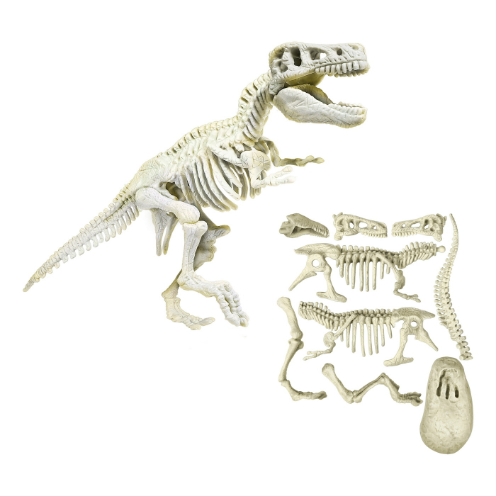 Descopera Dinozaurul T-REX  [2]
