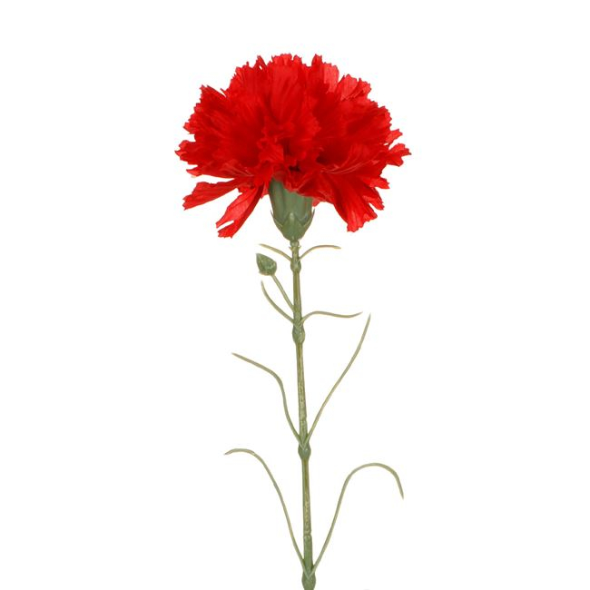 Fir floare garoafa decorativ [2]