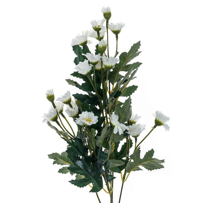 Fir floare margarete decorativ [2]